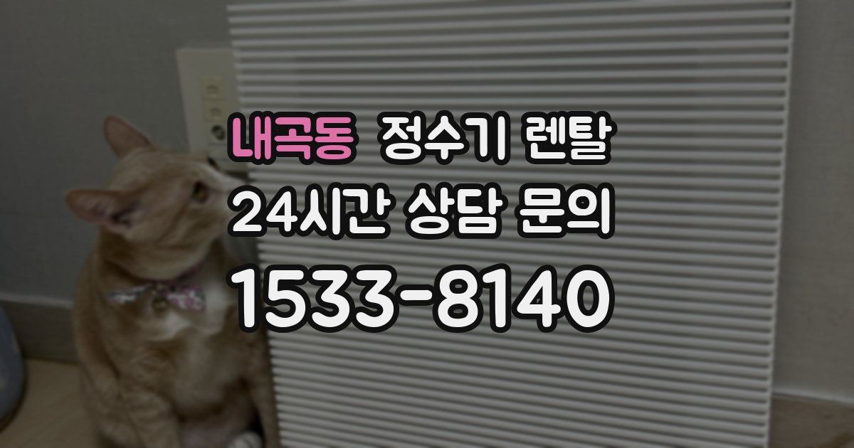 내곡동 정수기 렌탈