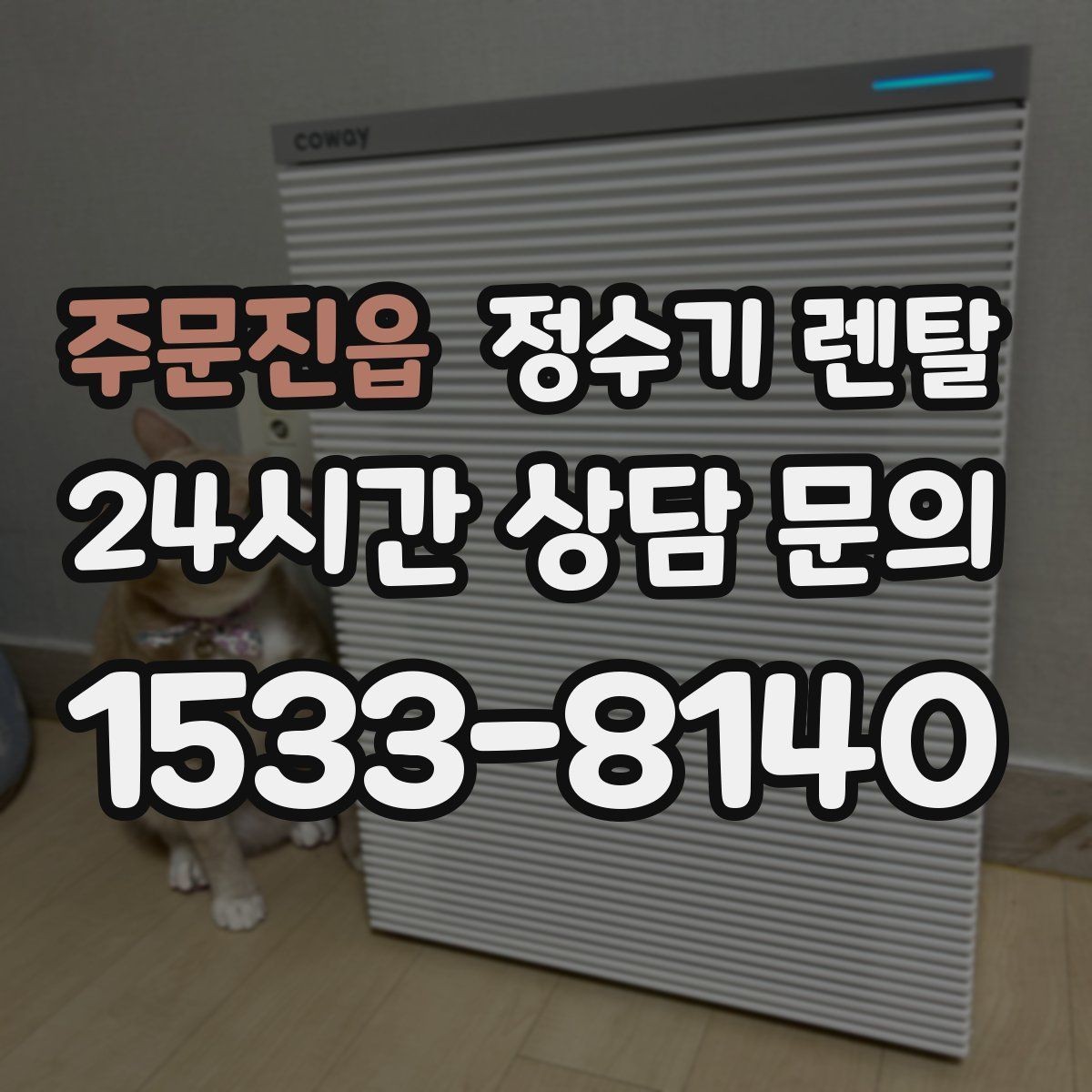 주문진읍 정수기 렌탈 필터 위치(내장 외장)에 따라 달라지는 장단점