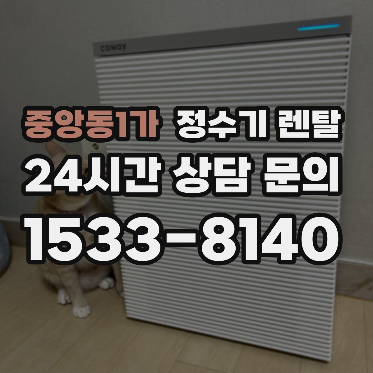 중앙동1가 정수기 렌탈