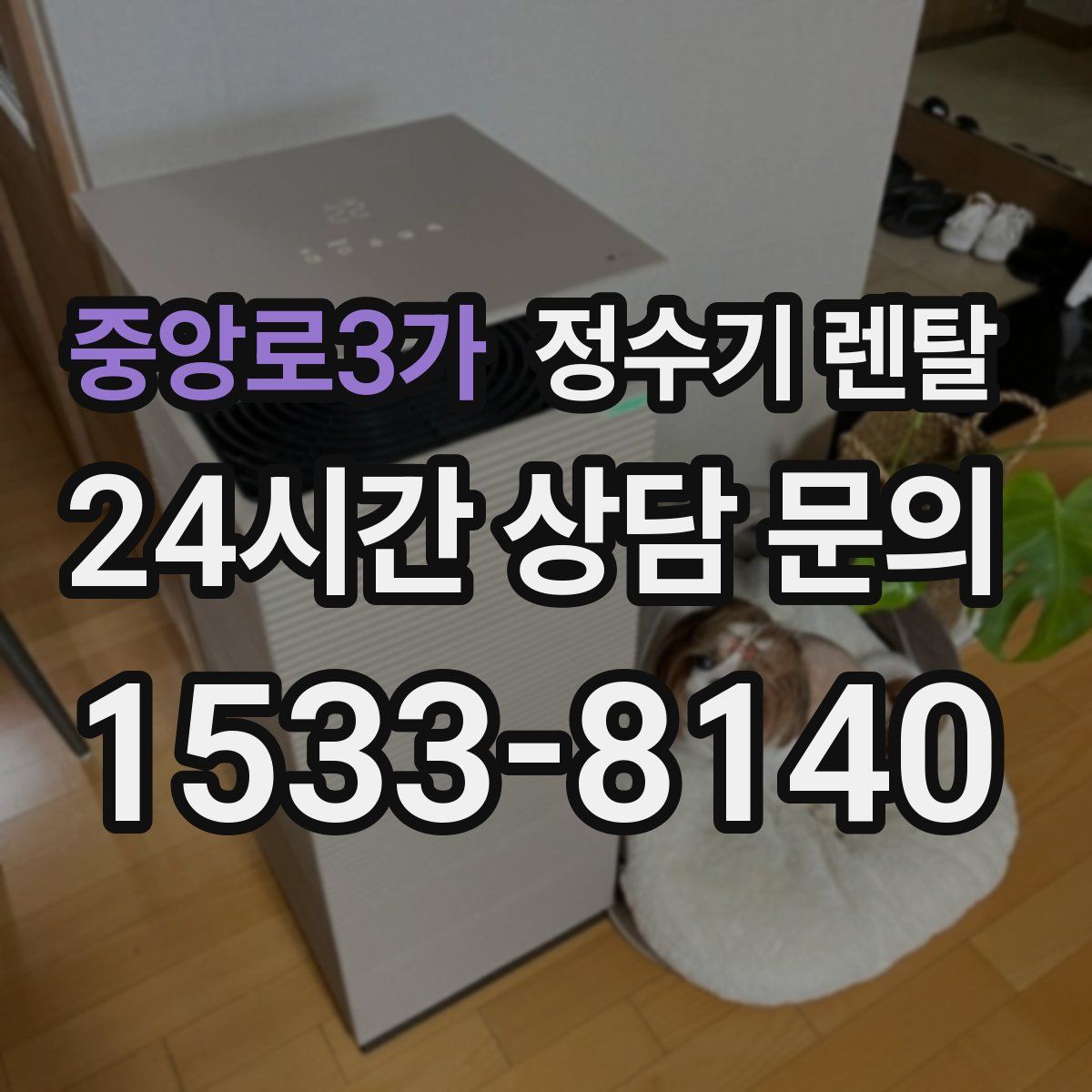 중앙로3가 정수기 렌탈