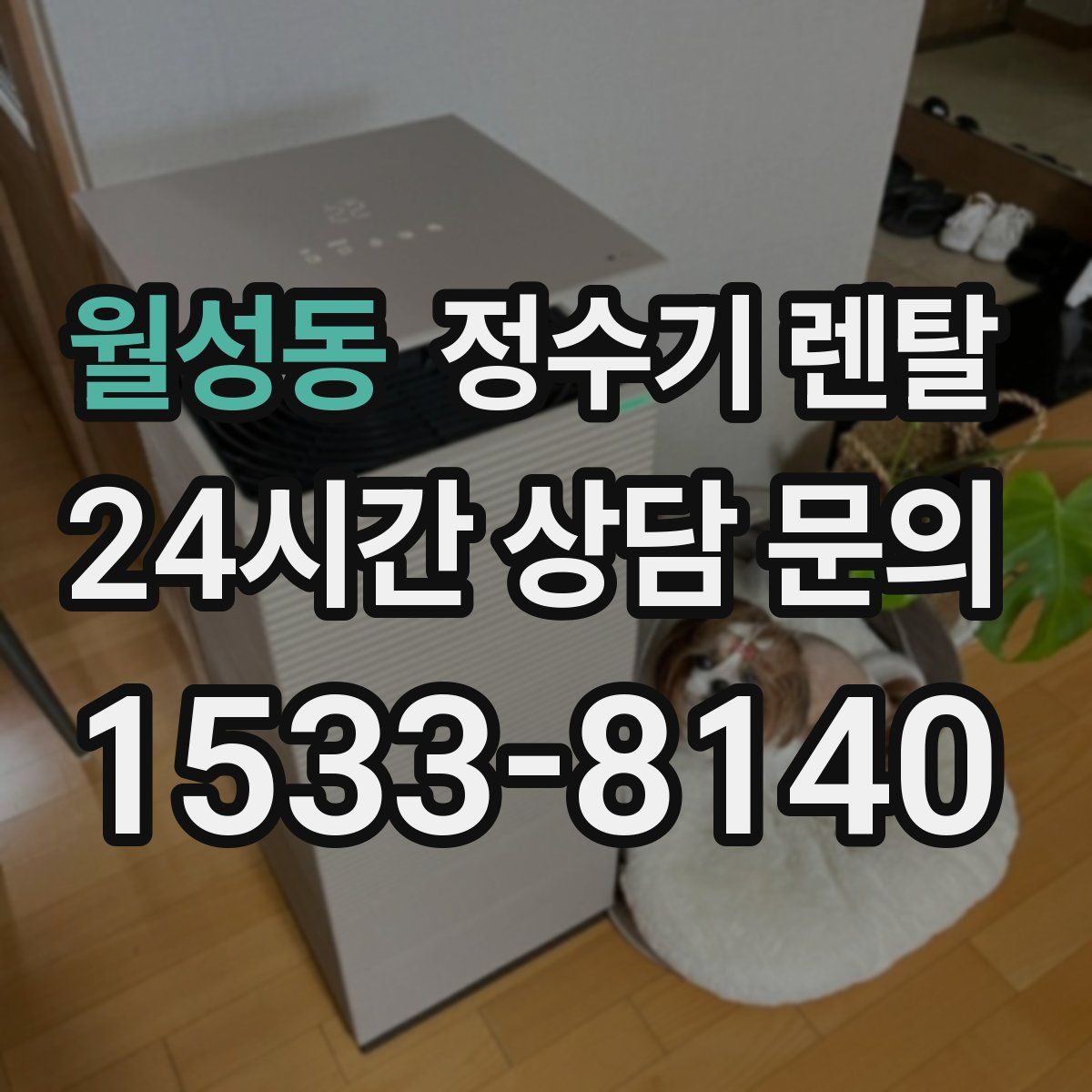 월성동 정수기 렌탈