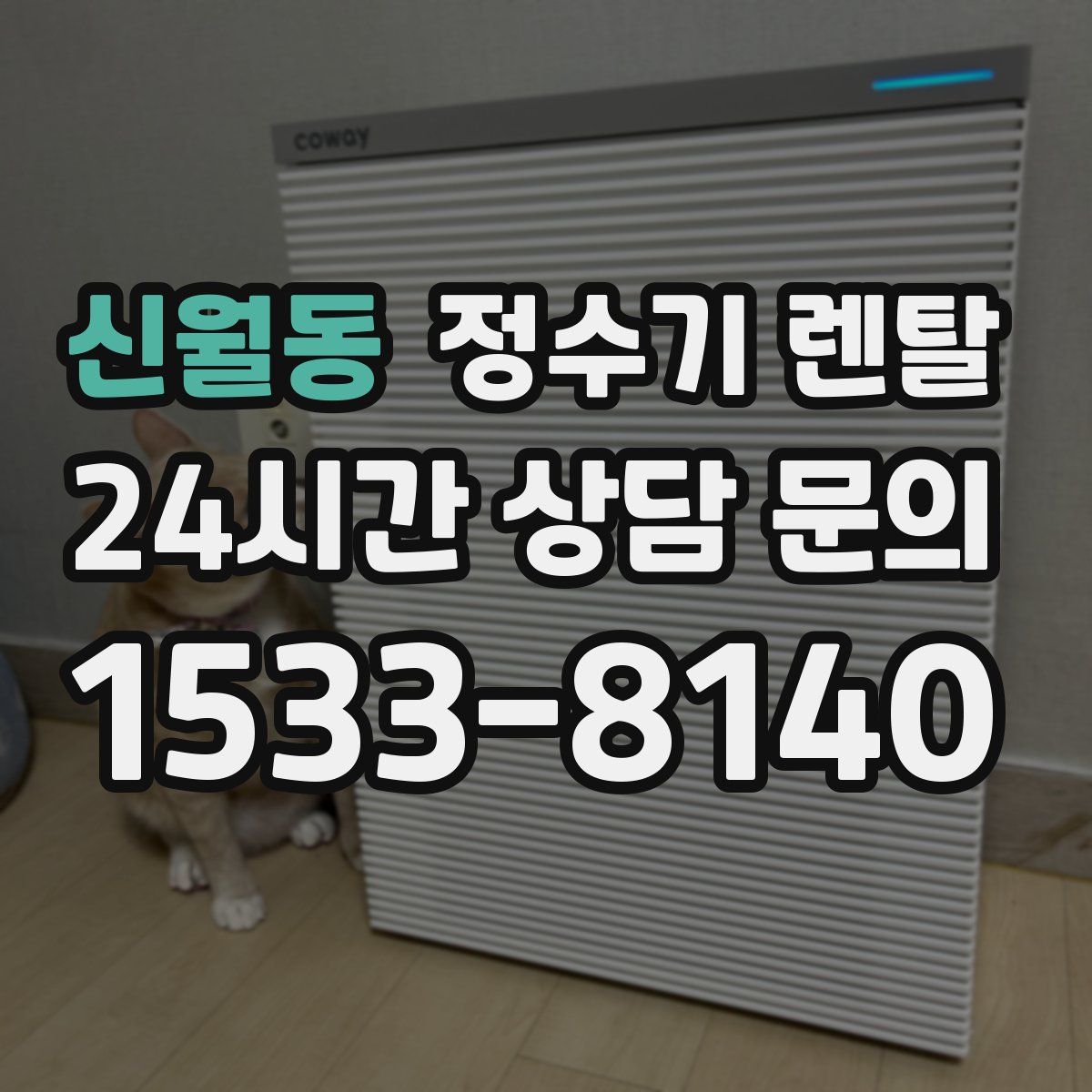 신월동 정수기 렌탈