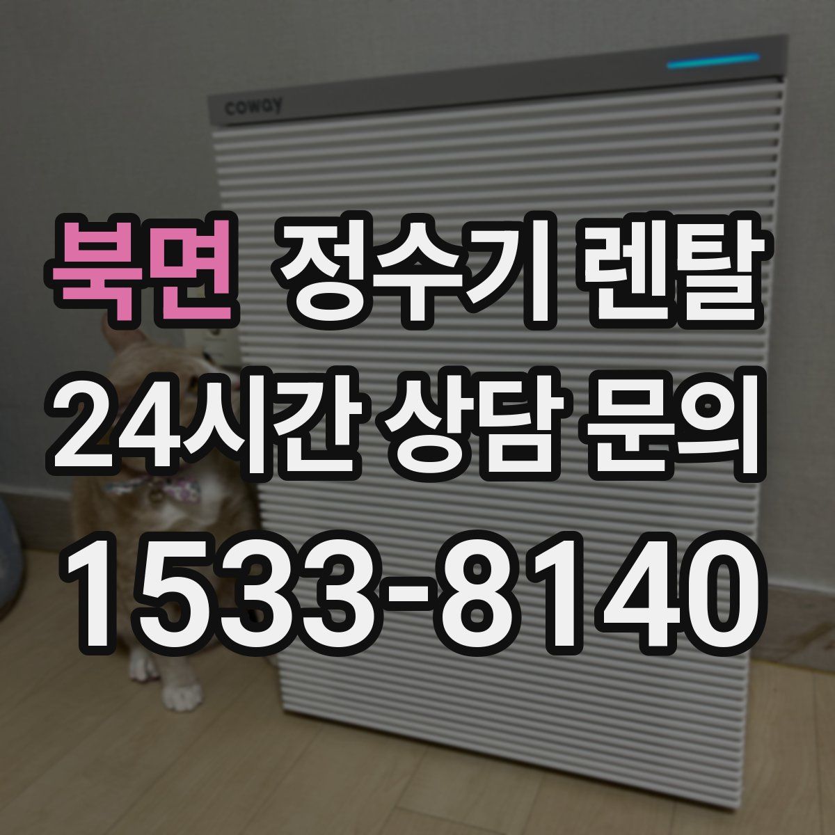 북면 정수기 렌탈