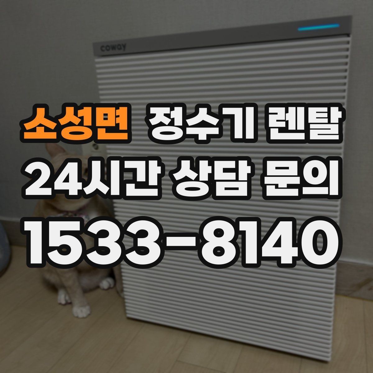 소성면 정수기 렌탈 출수 버튼 방식(터치 레버) 비교