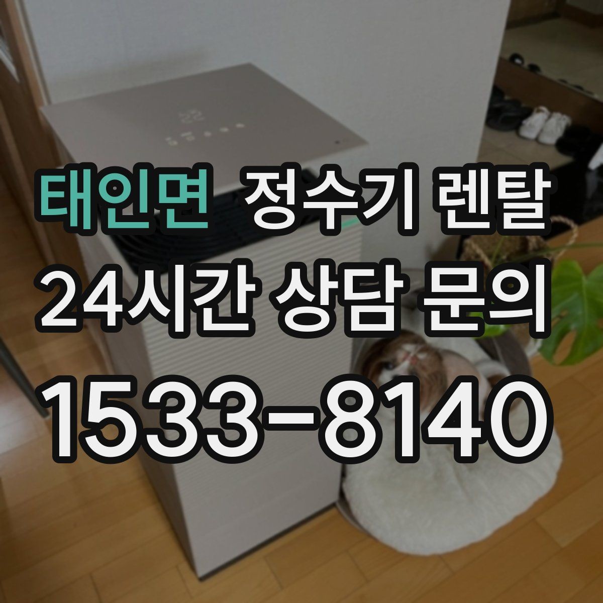 태인면 정수기 렌탈 플러싱(초기 물빼기)을 제대로 해야 하는 이유