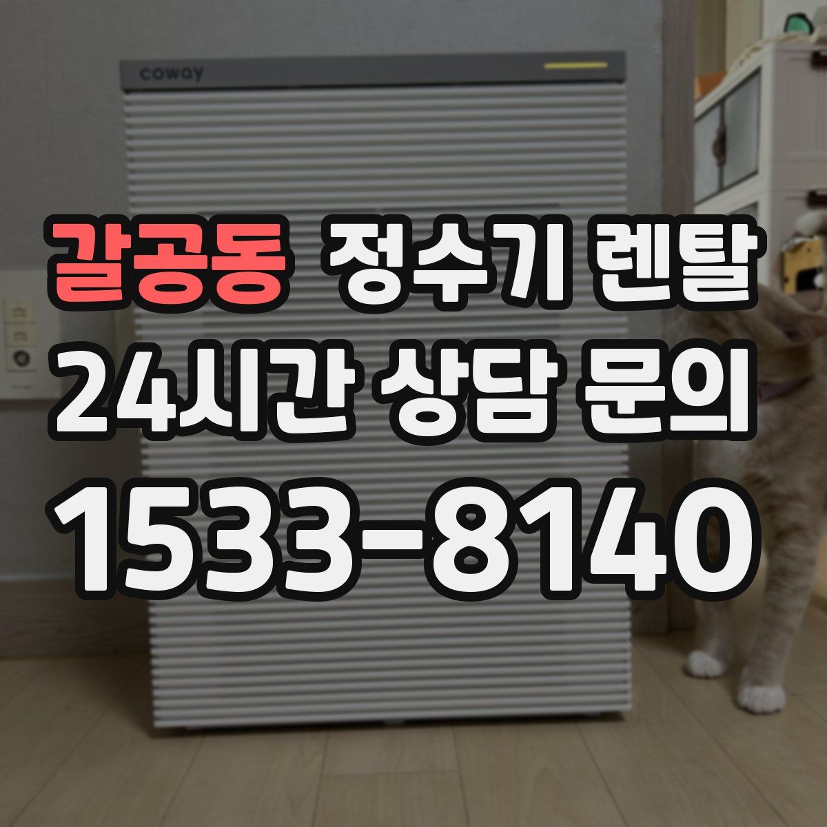 갈공동 정수기 렌탈