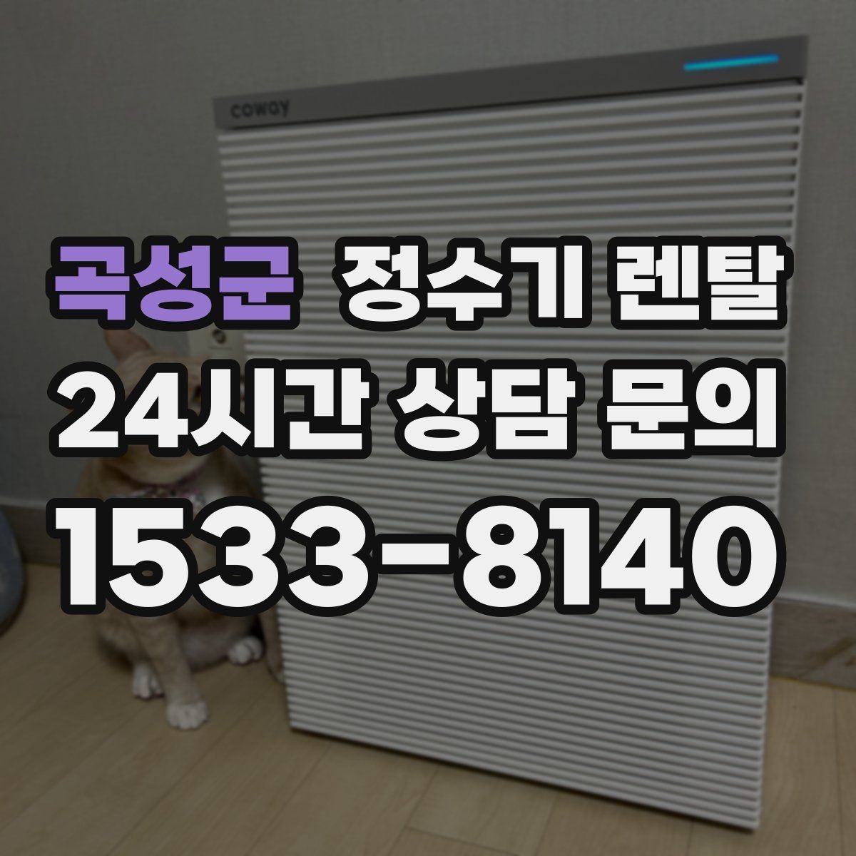 곡성군 정수기 렌탈 설치 기사 방문 전에 하부장 정리해야 하는 이유