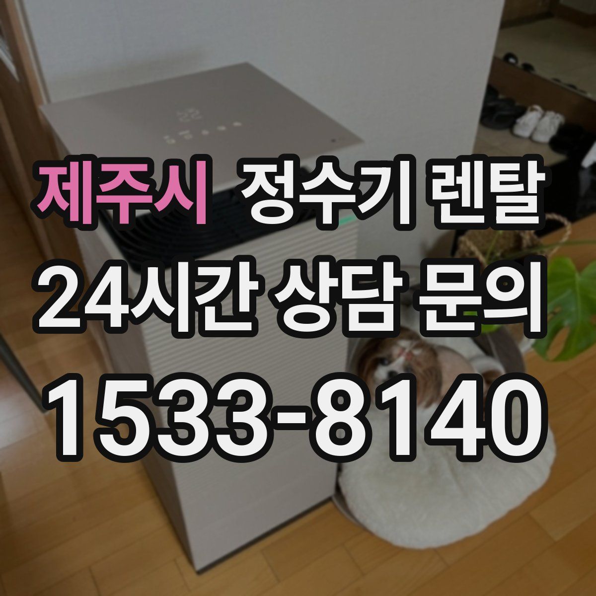 제주시 정수기 렌탈