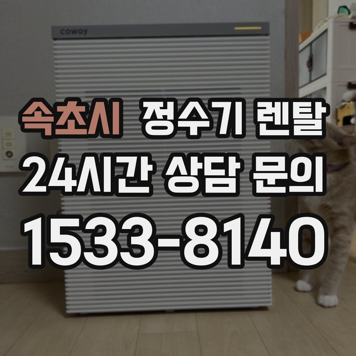 속초시 정수기 렌탈 소음에 민감하면 어떤 타입이 유리할까