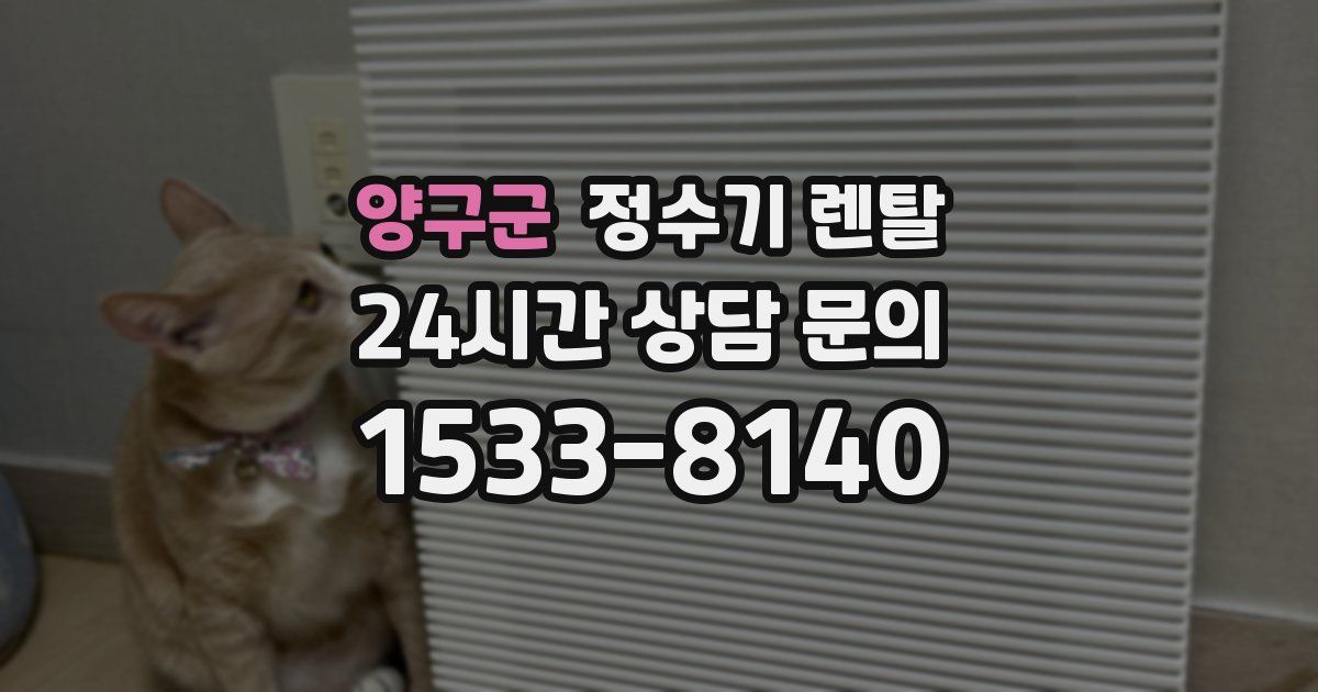 양구군 정수기 렌탈