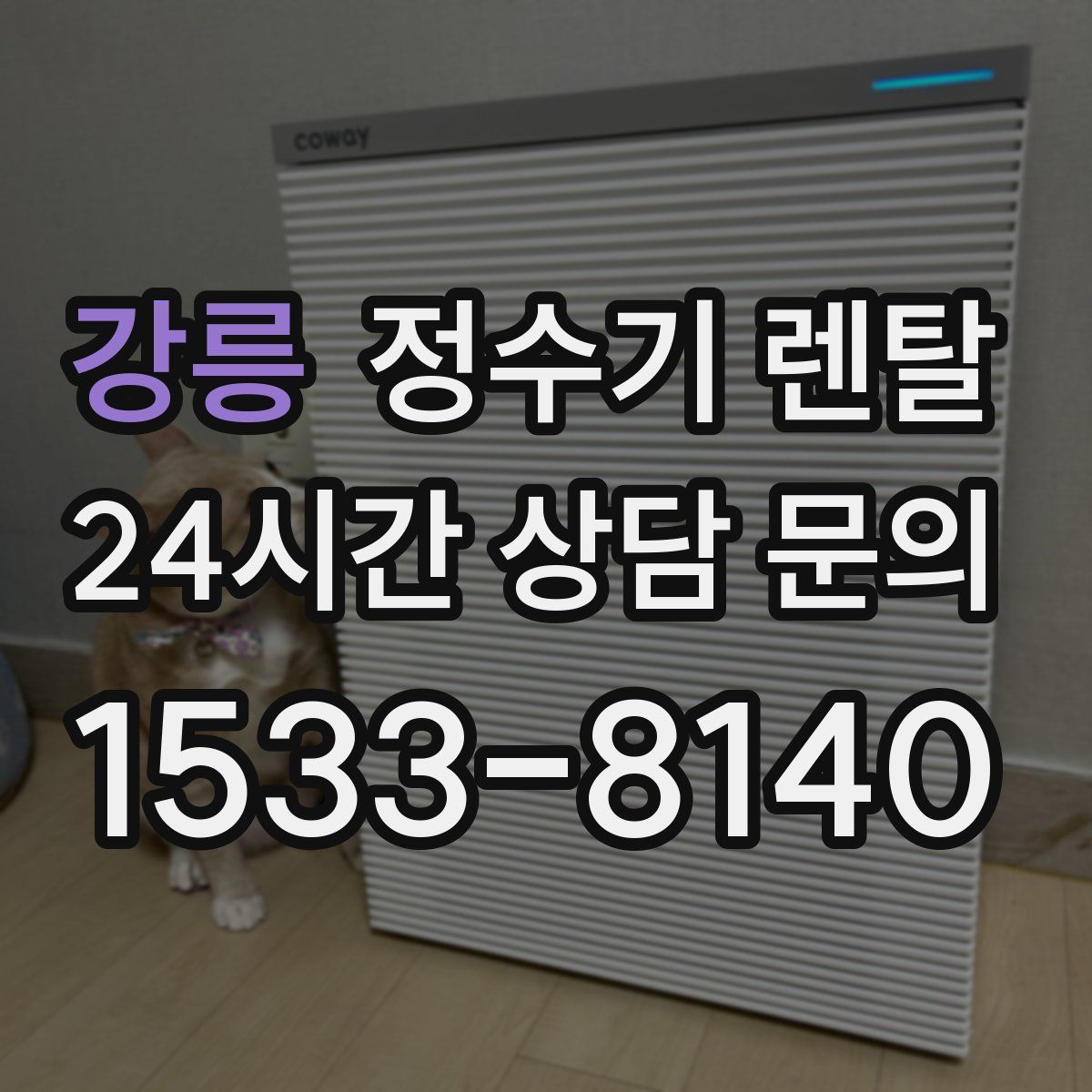 강릉 정수기 렌탈