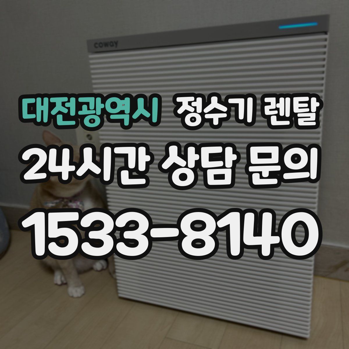 대전광역시 정수기 렌탈