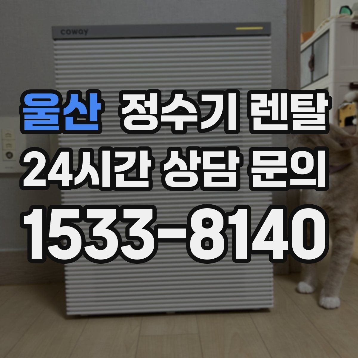 울산 정수기 렌탈 조작이 단순한 제품이 부모님 댁에 좋은 이유