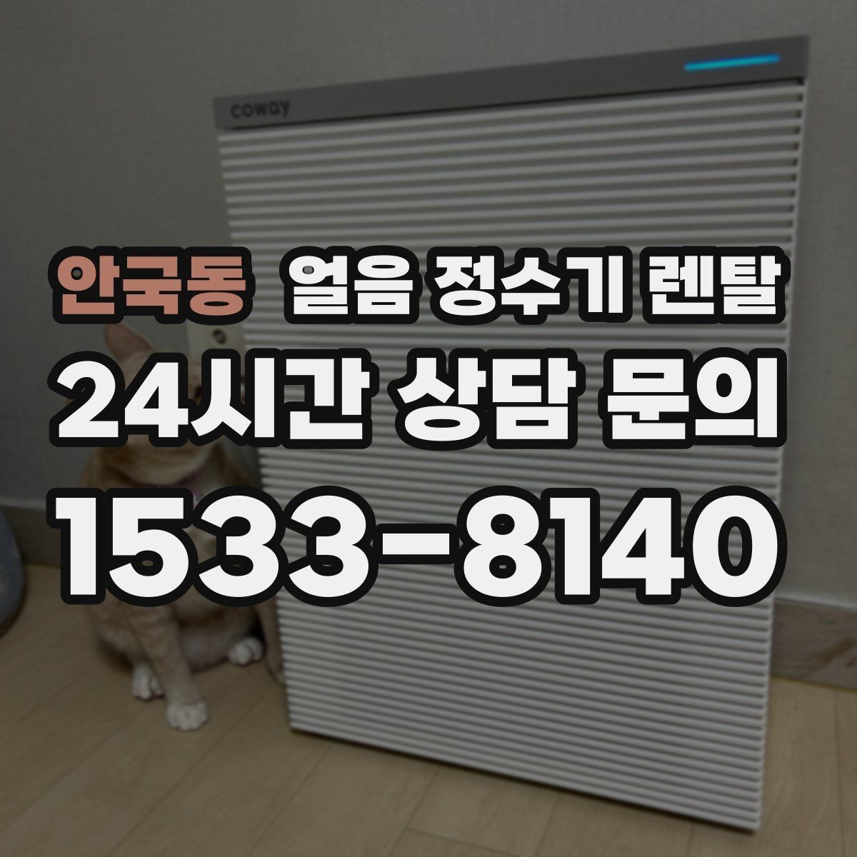 안국동 얼음 정수기 렌탈 카드 할인 적용 전 확인할 체크리스트