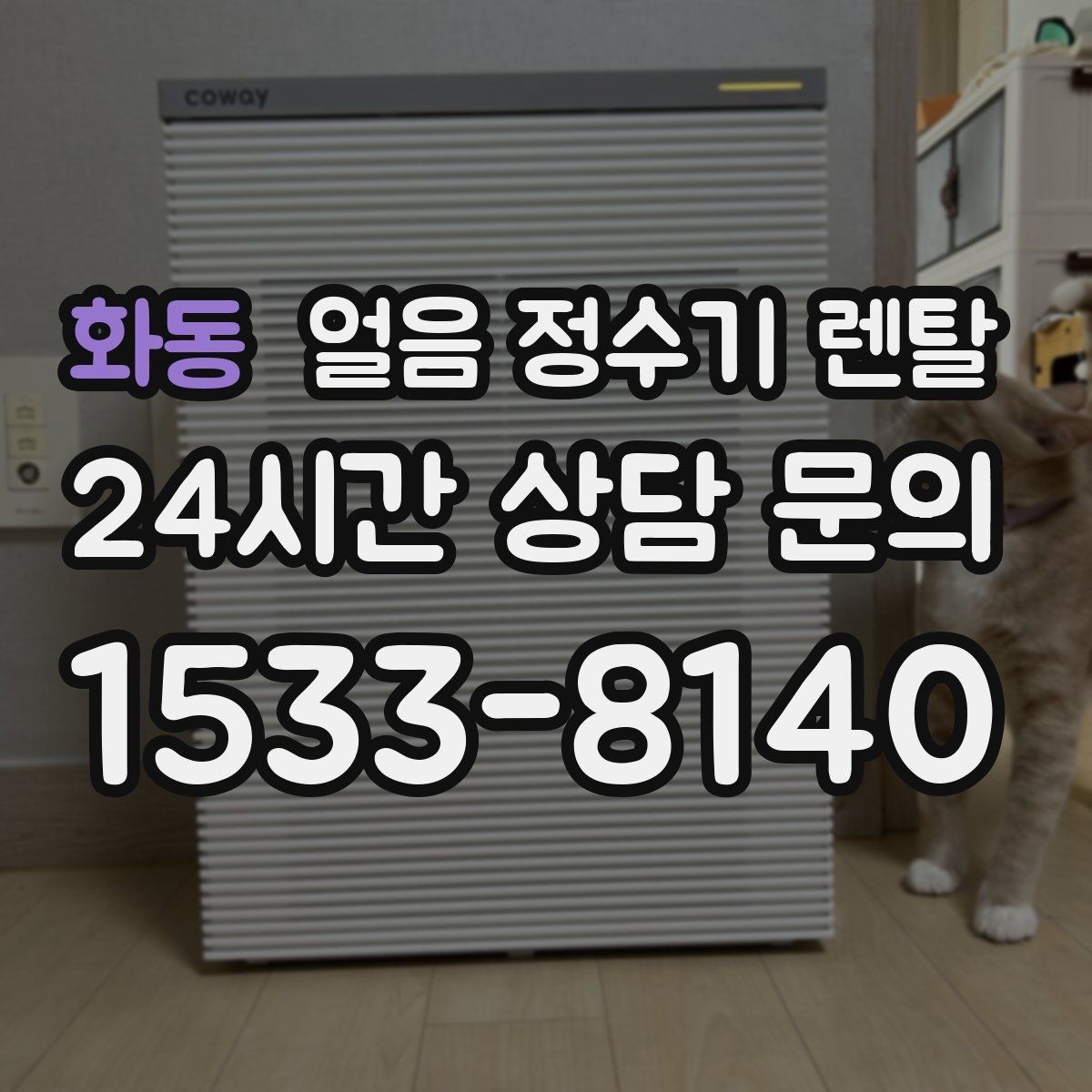화동 얼음 정수기 렌탈 냉수 성능과 제빙 성능을 함께 보는 법