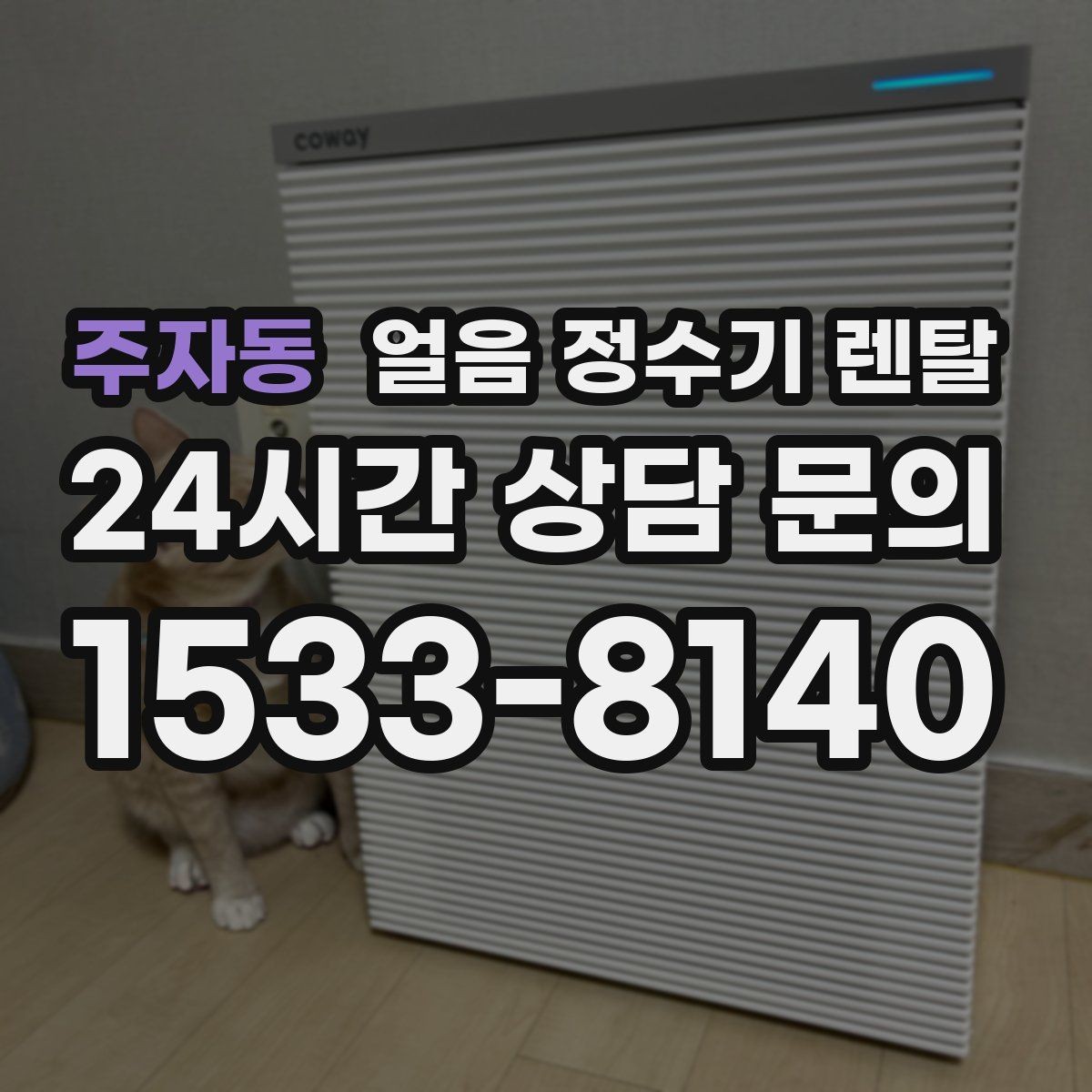 주자동 얼음 정수기 렌탈 첫 얼음에서 냄새가 나는 이유와 대처