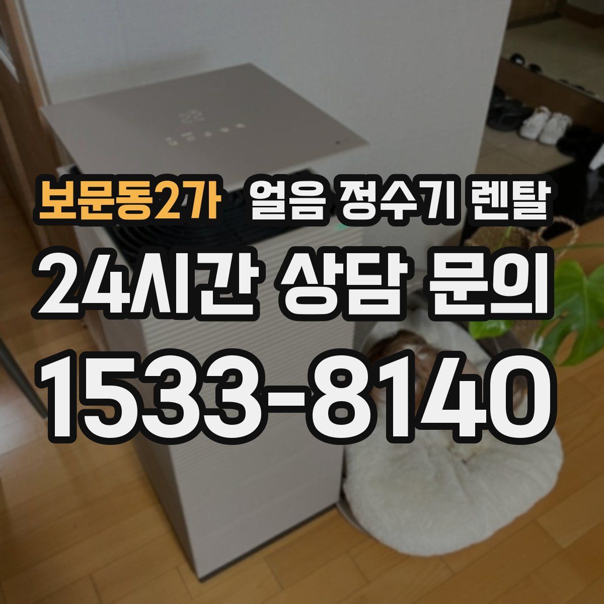 보문동2가 얼음 정수기 렌탈