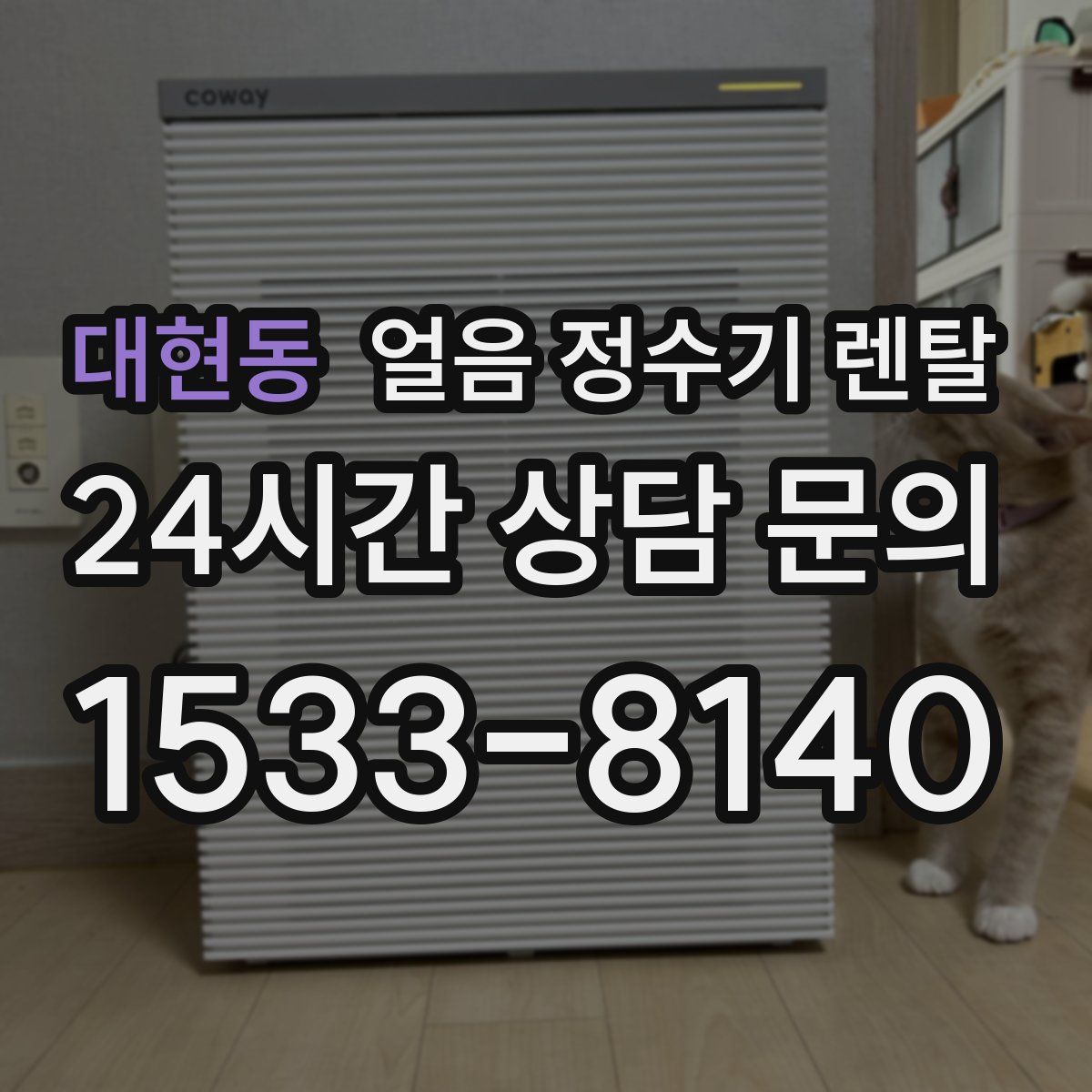 대현동 얼음 정수기 렌탈