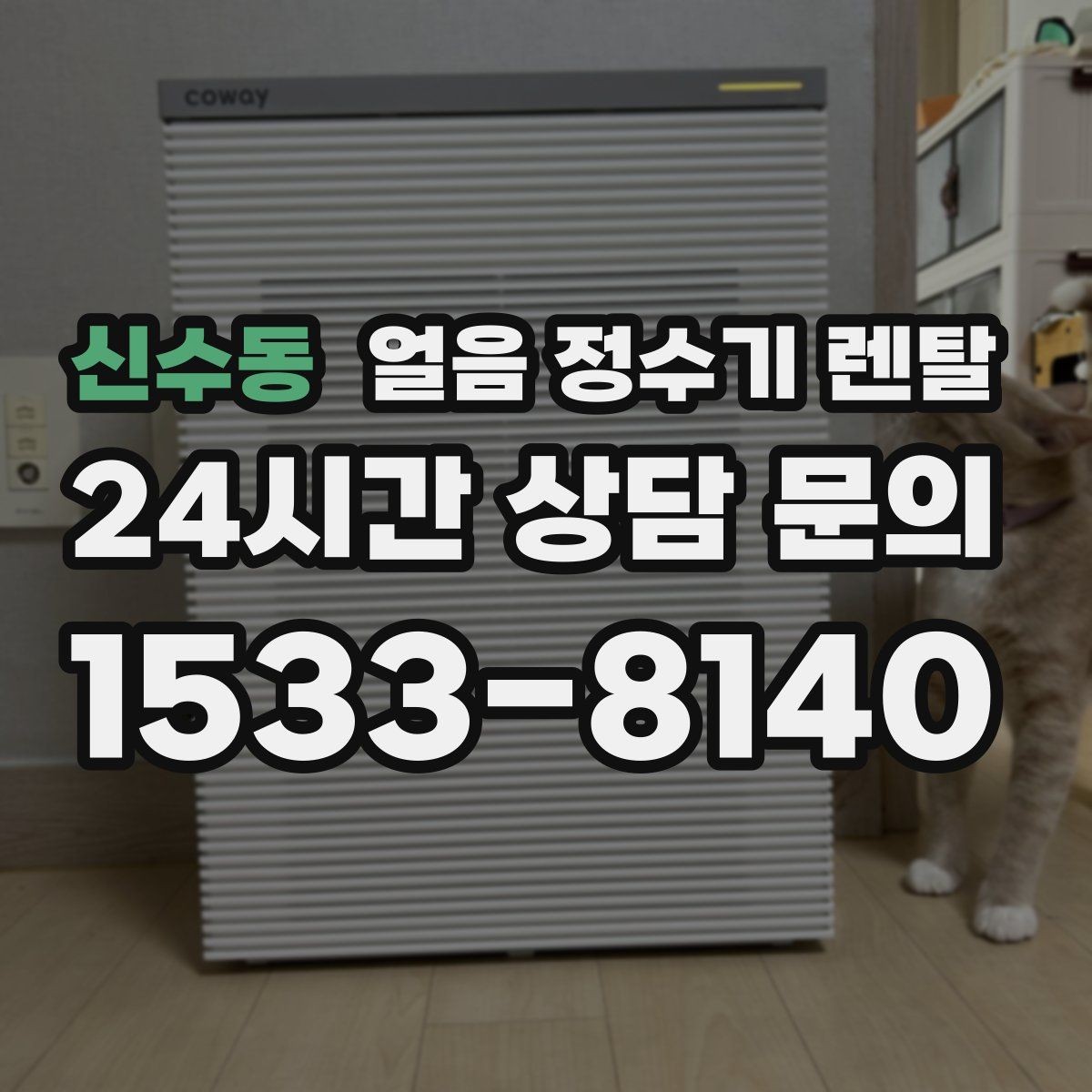 신수동 얼음 정수기 렌탈 인테리어 해치지 않게 배치하는 팁