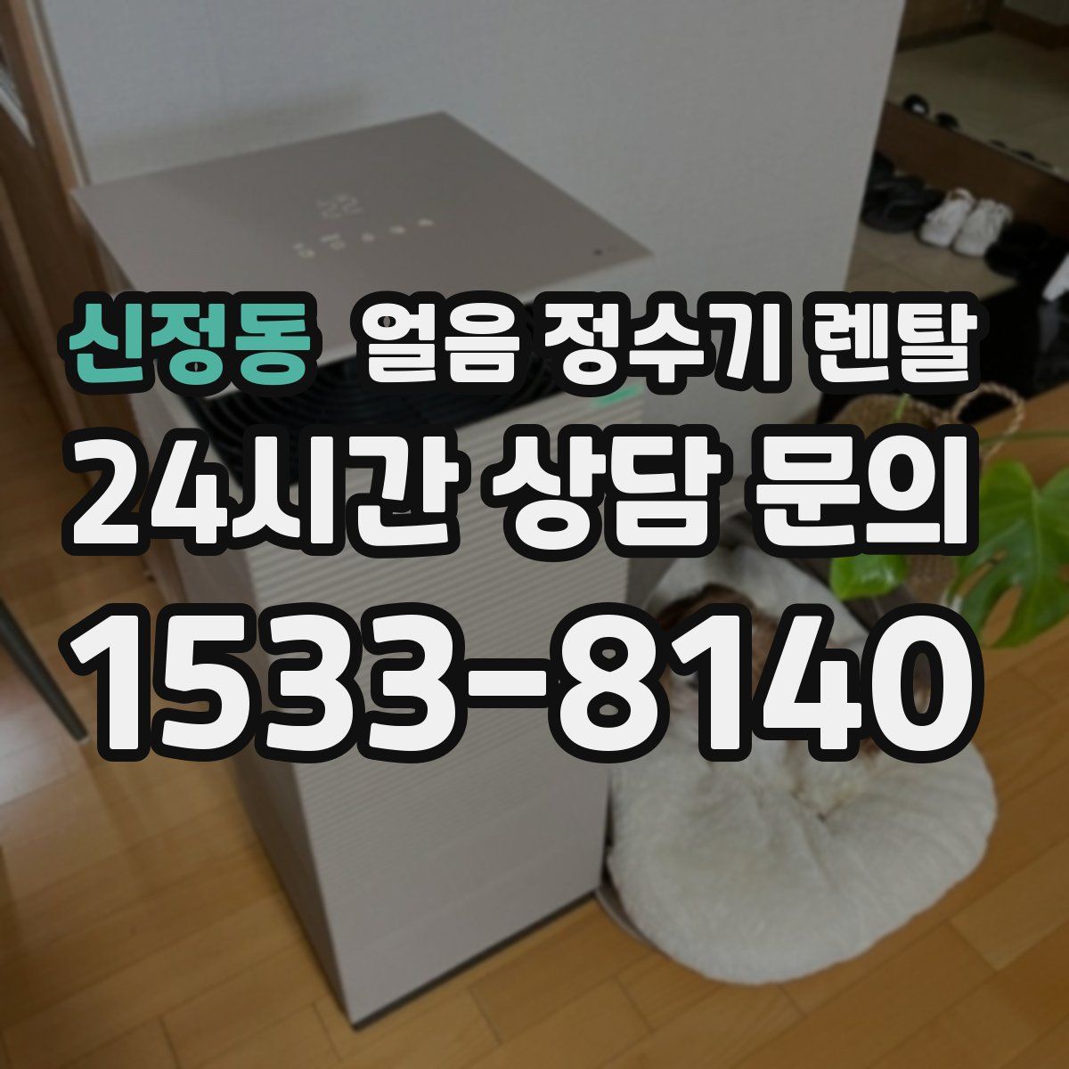 신정동 얼음 정수기 렌탈