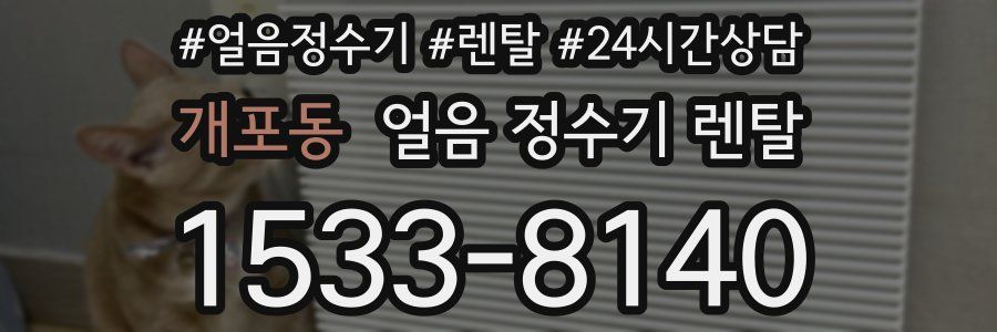 개포동 얼음 정수기 렌탈