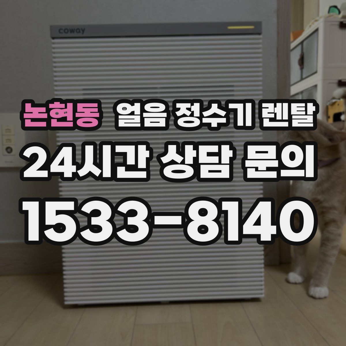 논현동 얼음 정수기 렌탈