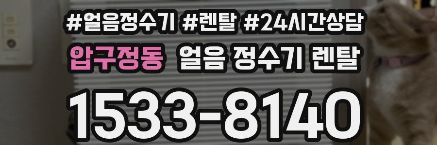 압구정동 얼음 정수기 렌탈