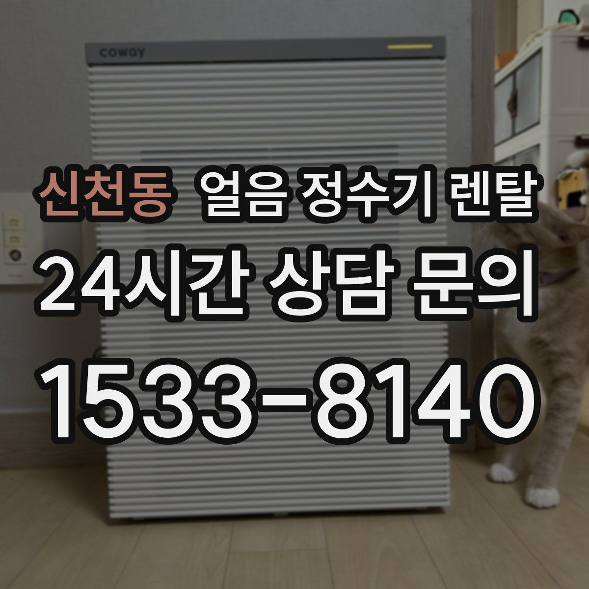 신천동 얼음 정수기 렌탈