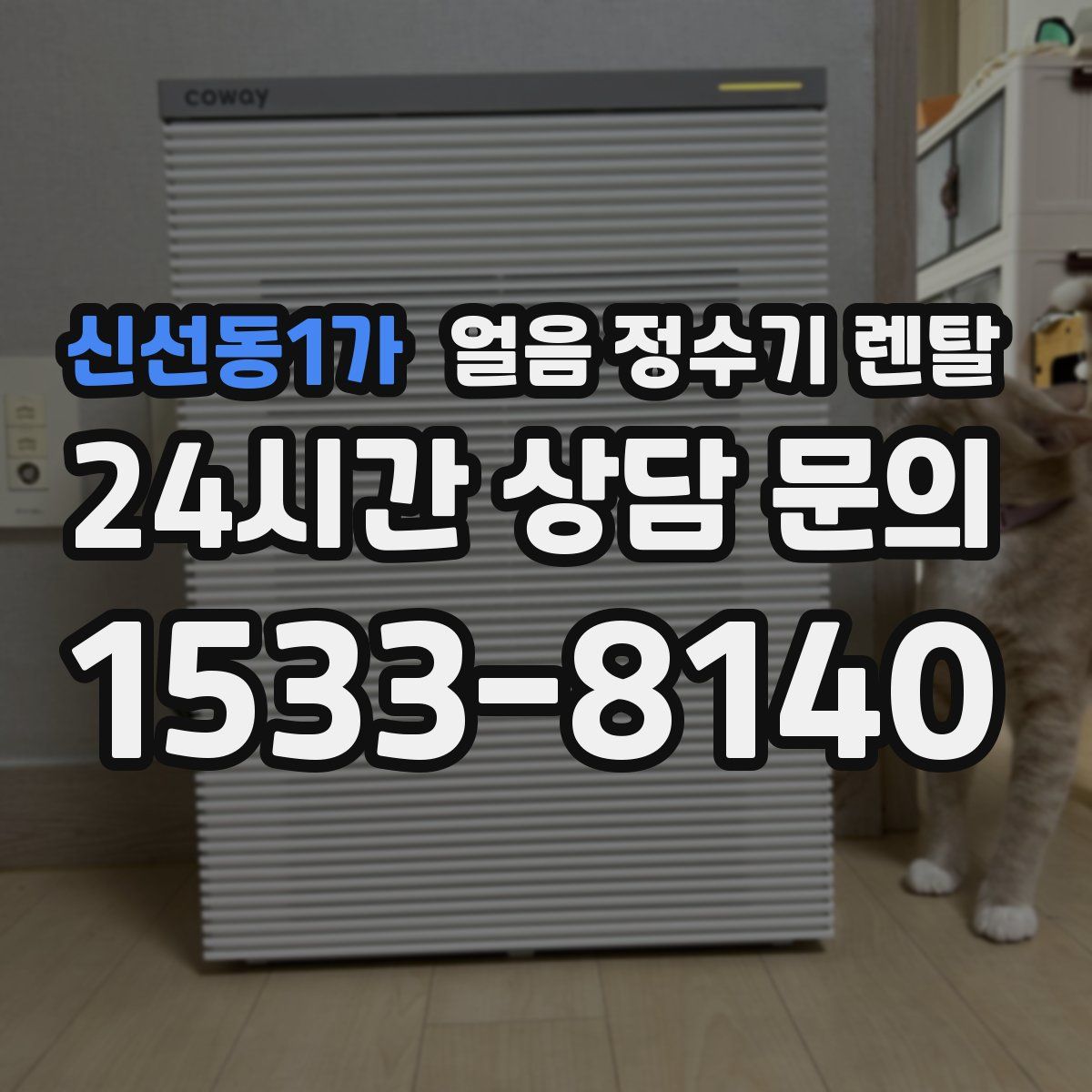 신선동1가 얼음 정수기 렌탈