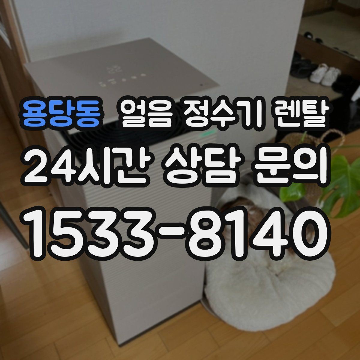 용당동 얼음 정수기 렌탈 하루 얼음 사용량으로 모델 고르는 방법