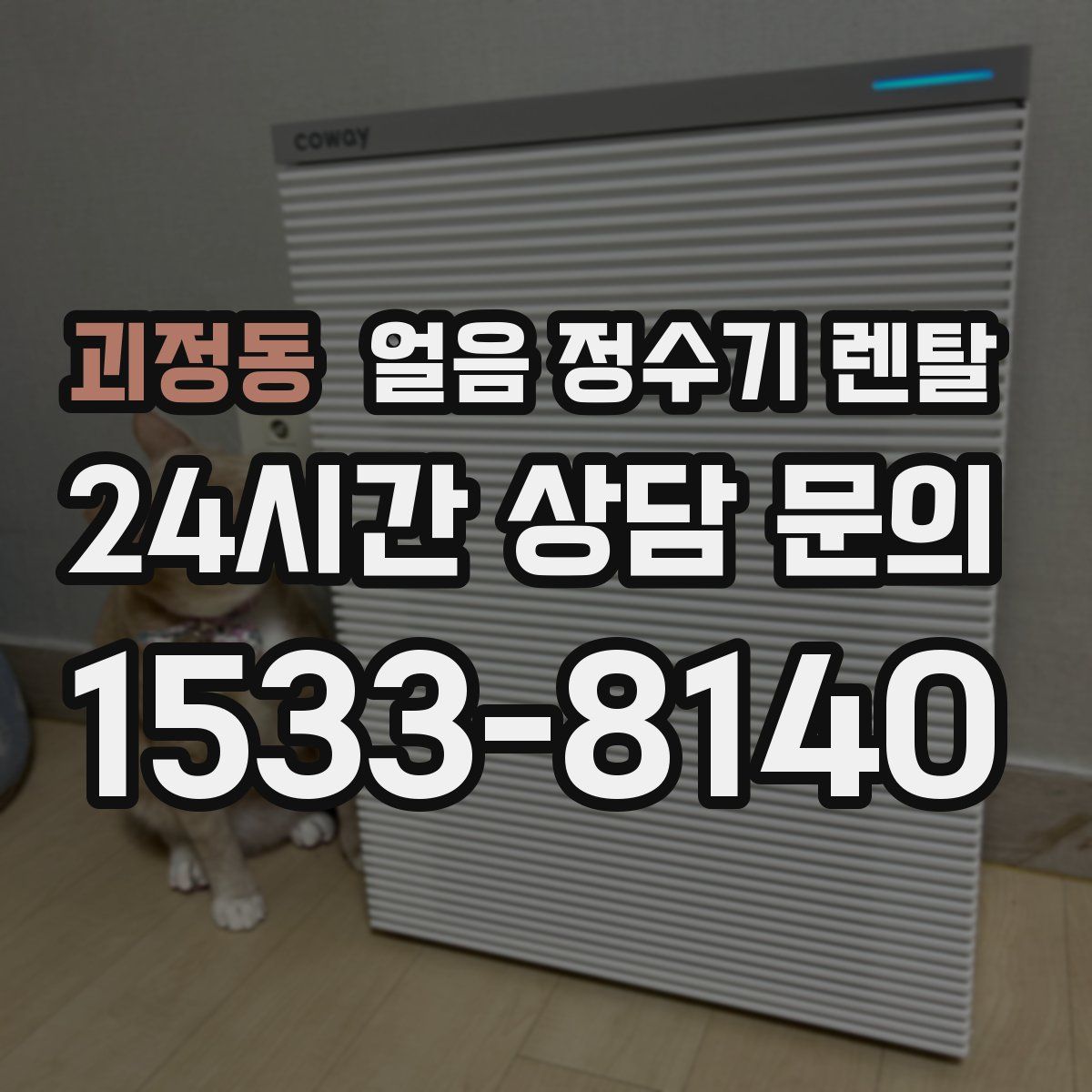 괴정동 얼음 정수기 렌탈