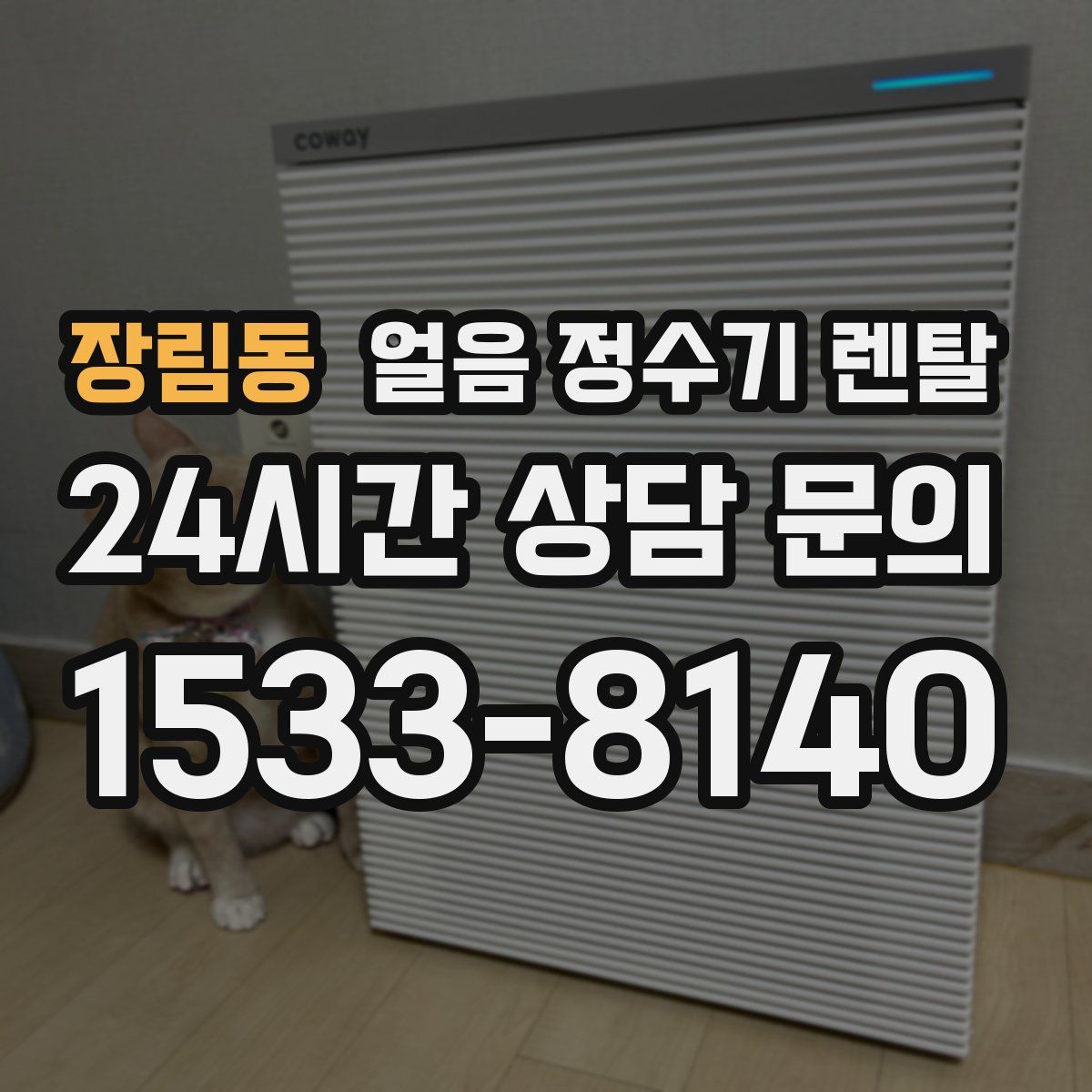 장림동 얼음 정수기 렌탈