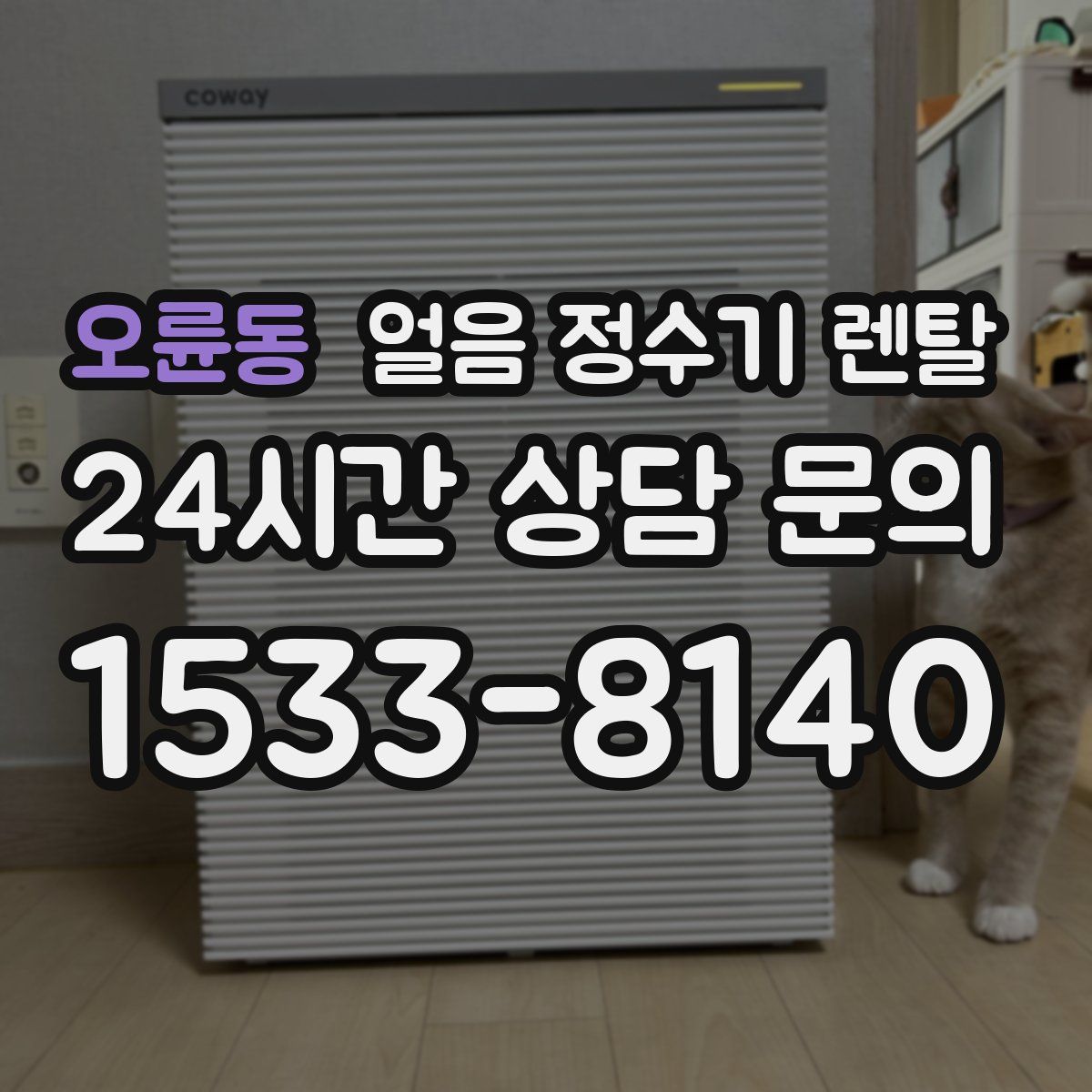 오륜동 얼음 정수기 렌탈