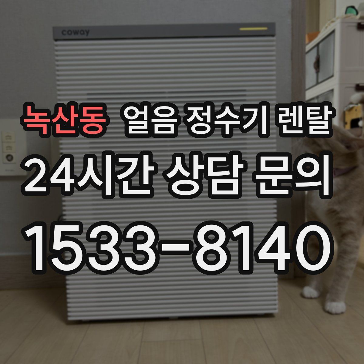 녹산동 얼음 정수기 렌탈