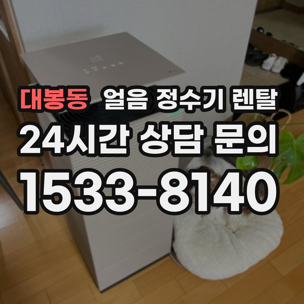 대봉동 얼음 정수기 렌탈