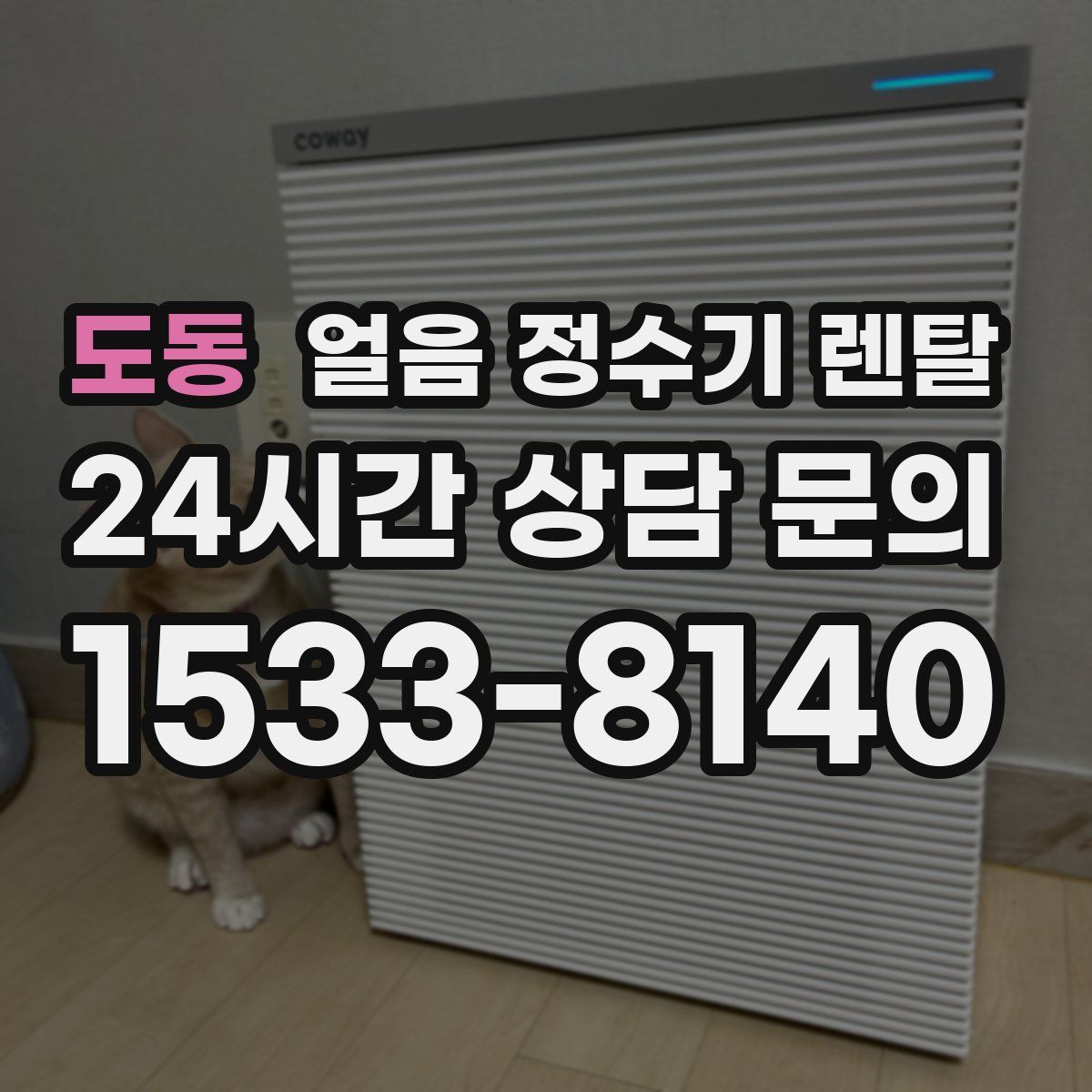 도동 얼음 정수기 렌탈