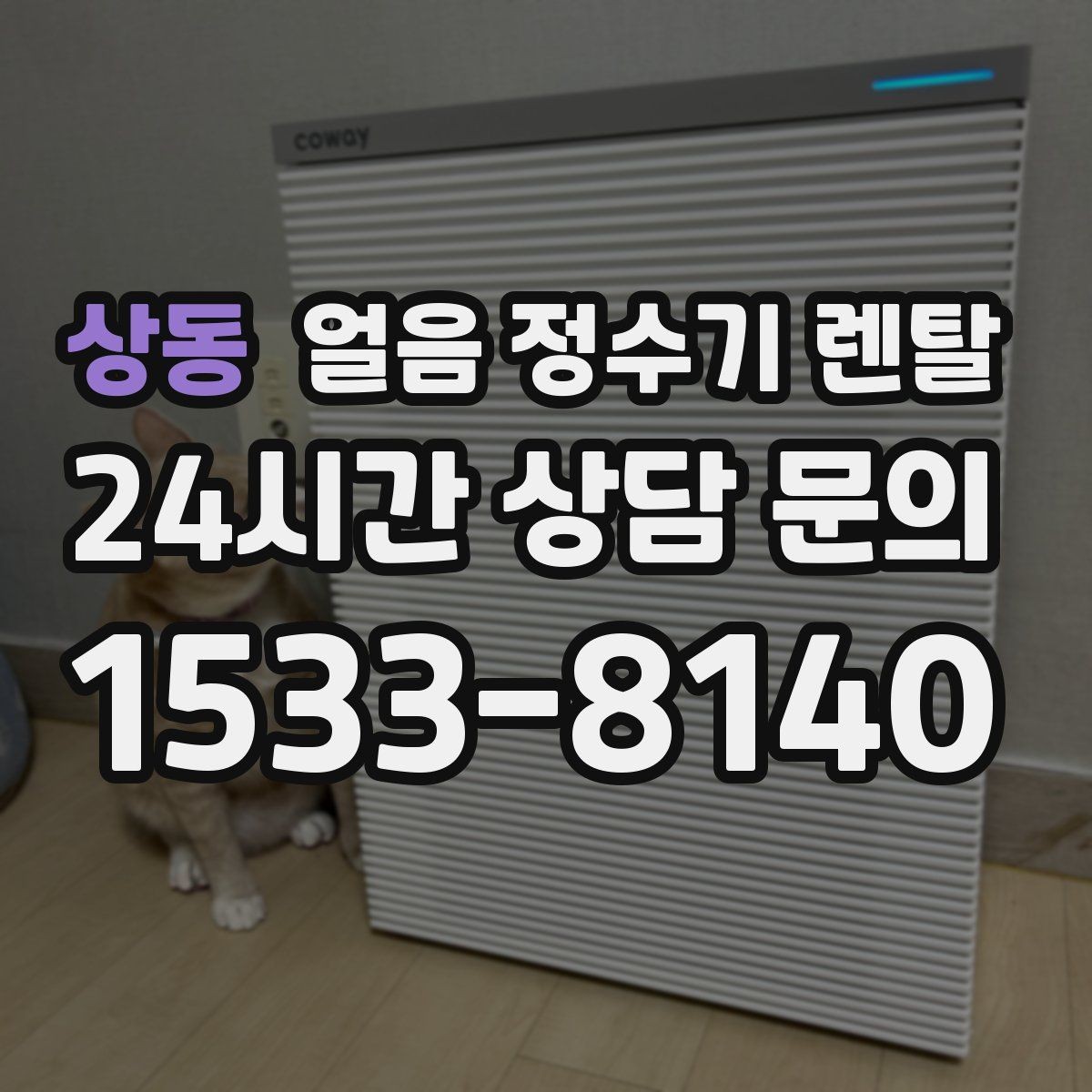 상동 얼음 정수기 렌탈 카페 학원 사무실용 선택 기준