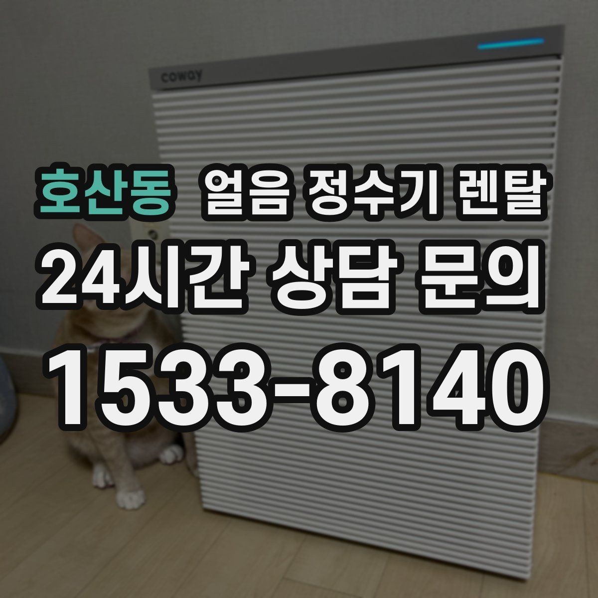호산동 얼음 정수기 렌탈 소음이 걱정될 때 확인할 포인트