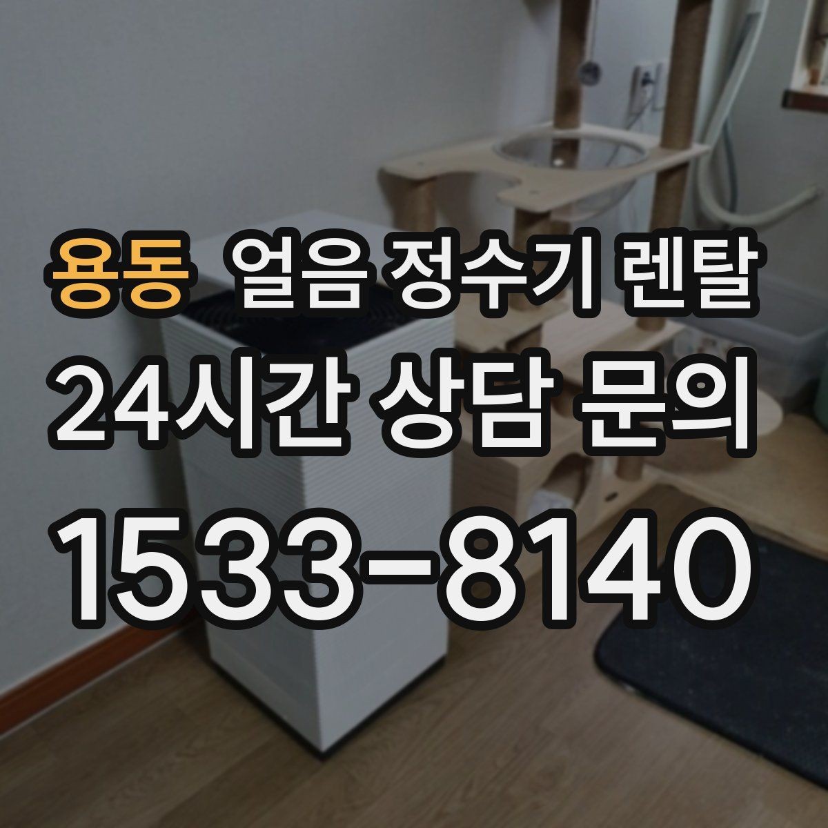 용동 얼음 정수기 렌탈 설치 위치 추천과 피해야 할 위치