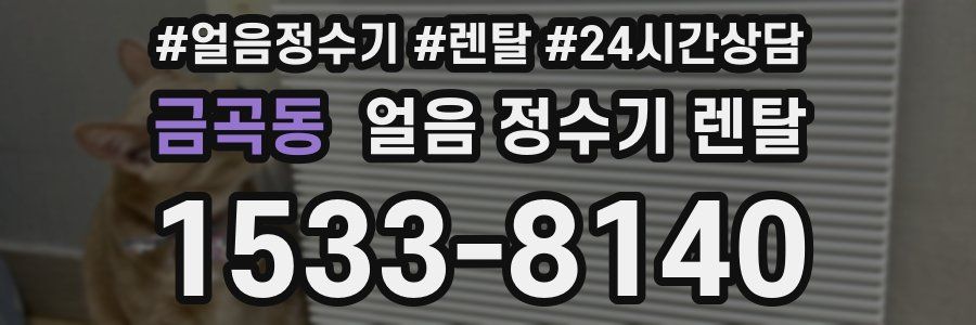 금곡동 얼음 정수기 렌탈