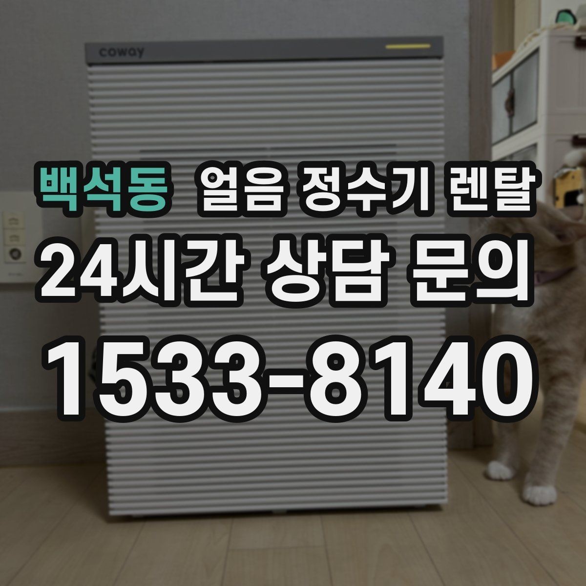 백석동 얼음 정수기 렌탈 홈카페용으로 만족도 높은 옵션 정리