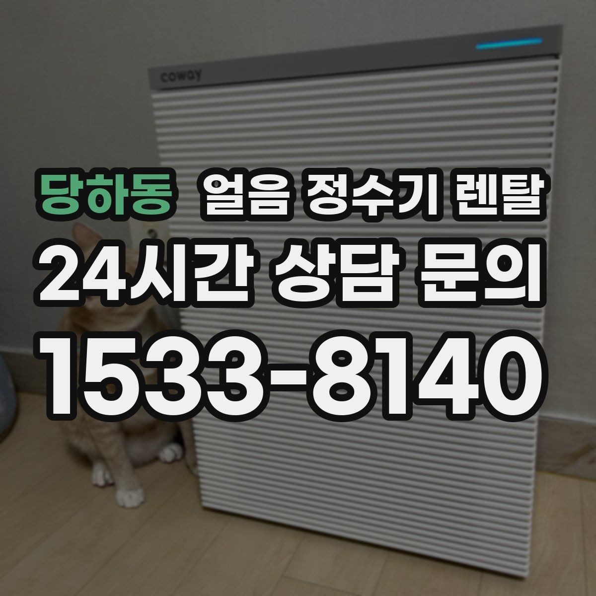 당하동 얼음 정수기 렌탈 얼음틀 세척이 번거로울 때 해결책