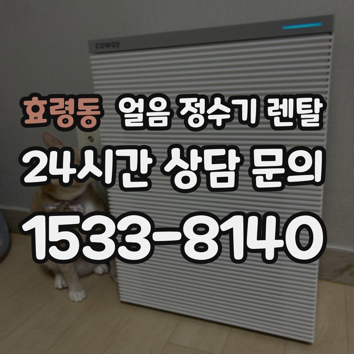 효령동 얼음 정수기 렌탈 큰 텀블러도 편하게 받는 모델 고르기