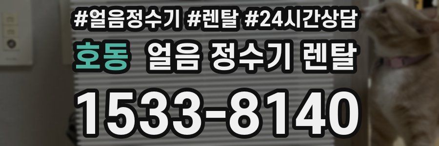 호동 얼음 정수기 렌탈