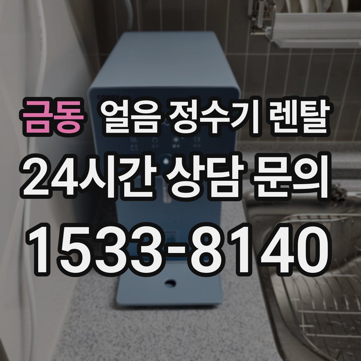 금동 얼음 정수기 렌탈 물맛이 예민하면 어떤 필터가 맞을까