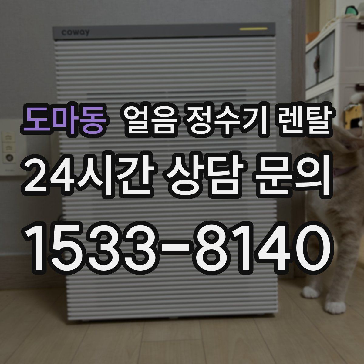 도마동 얼음 정수기 렌탈