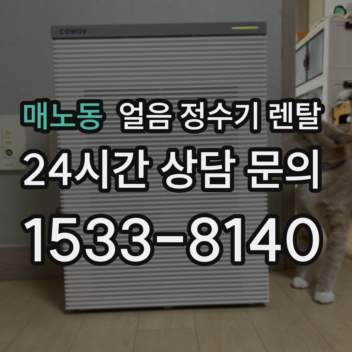 매노동 얼음 정수기 렌탈