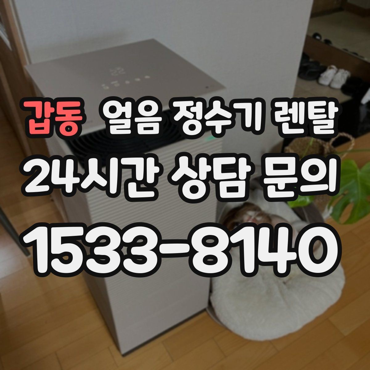 갑동 얼음 정수기 렌탈 얼음 출구가 넓으면 좋은 점