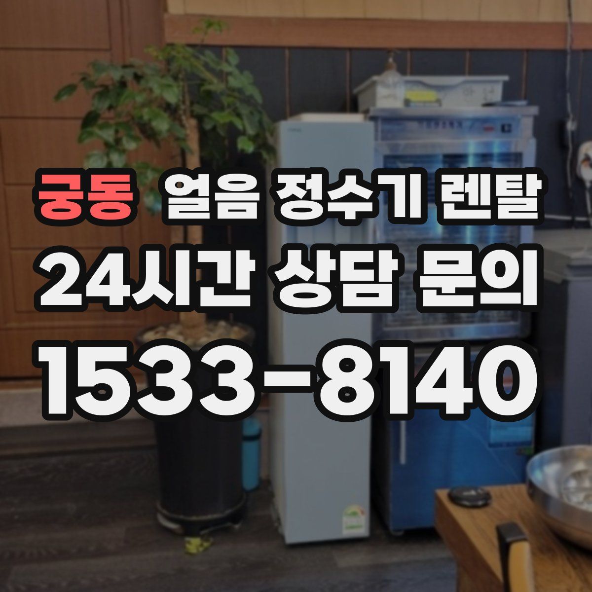 궁동 얼음 정수기 렌탈