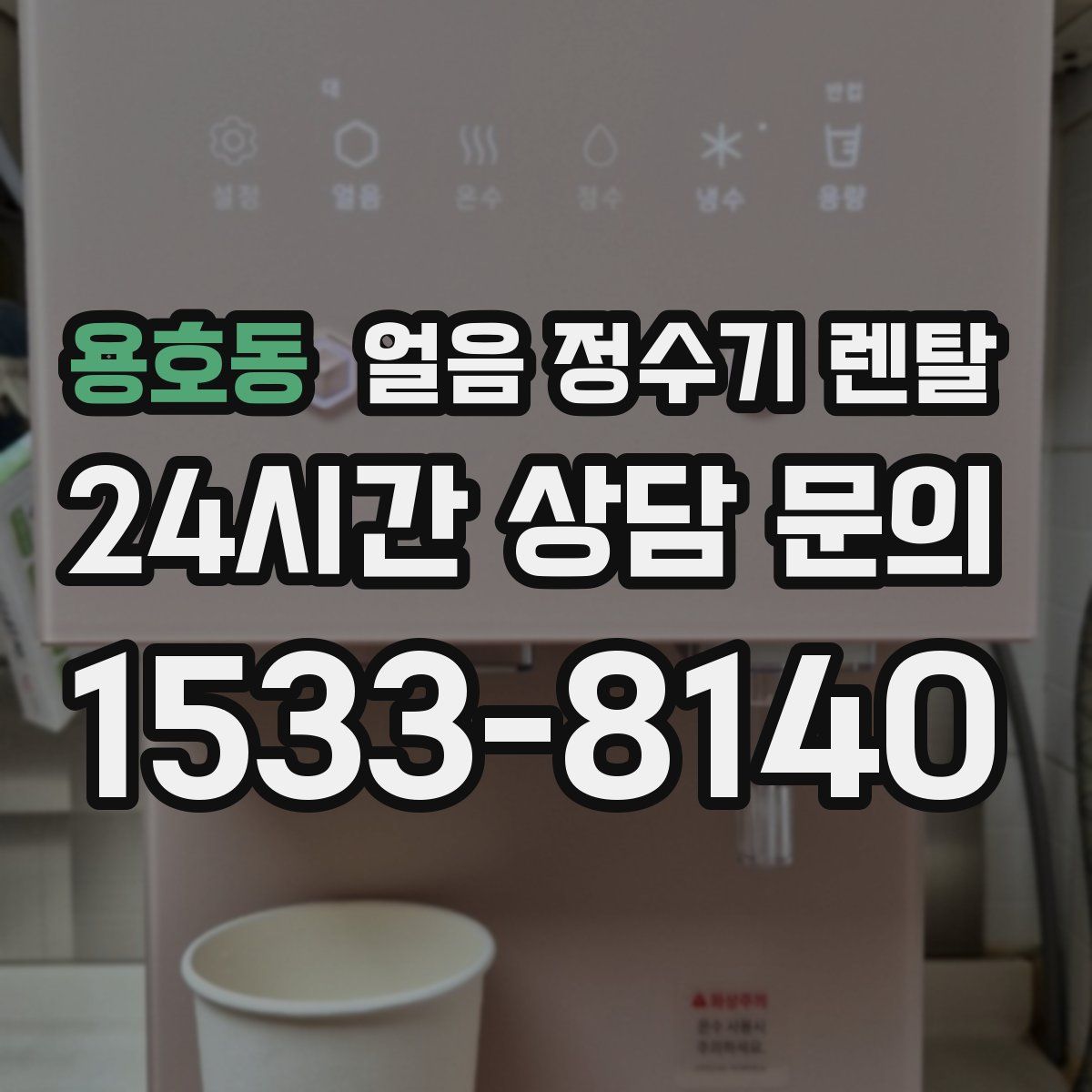 용호동 얼음 정수기 렌탈